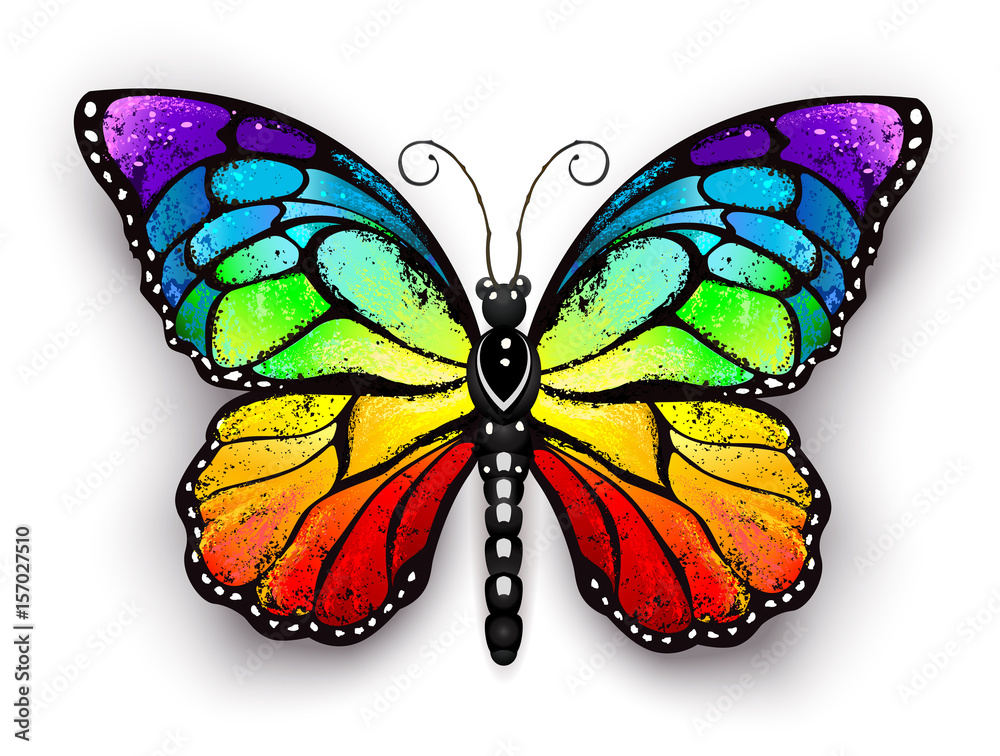 Rainbow monarch butterfly Rainbow monarch butterfly