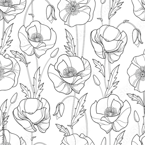 Fototapeta Naklejka Na Ścianę i Meble -  Vector seamless pattern with outline Poppy flower, bud and leaves in black on the white background. Monochrome floral pattern with ornate poppies in contour style for summer design or coloring book.