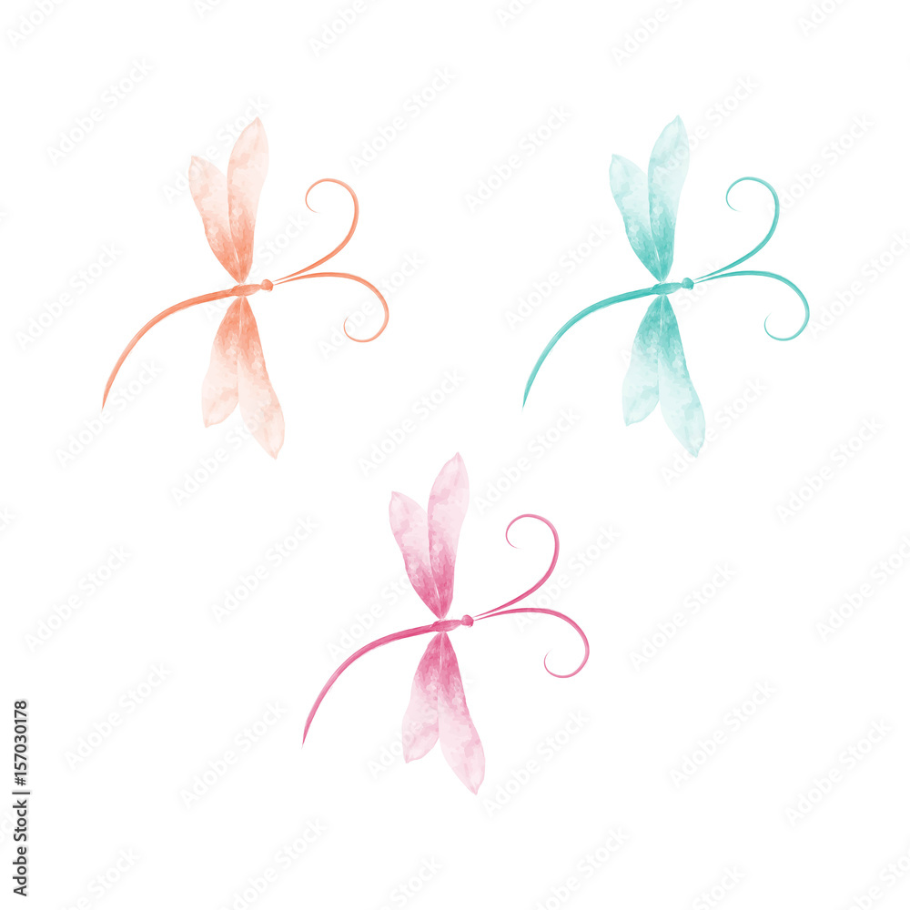 Dragonfly vector illustration Dragonfly vector illustration