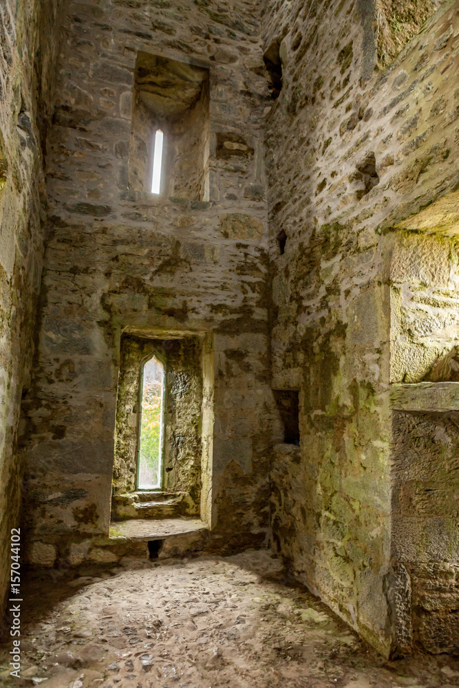 Abbaye de Muckross, Irlande