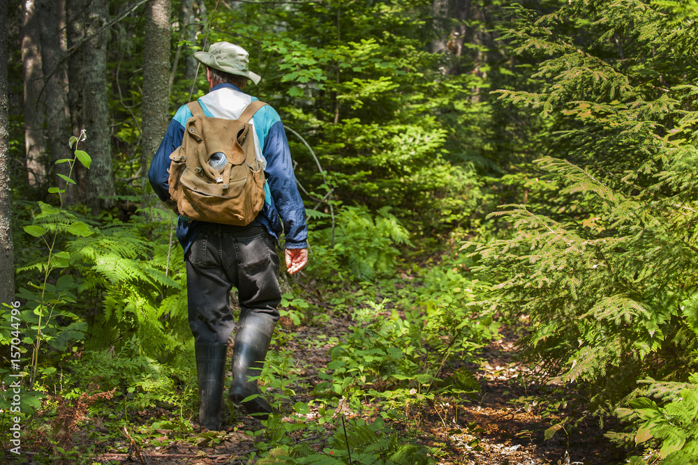Active senior adult man hiking in woods.
