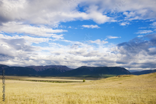 Kurai steppe landscape. Altai, Russia