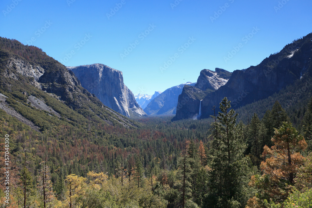 Yosemite view 
