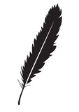 Vector Feather Isolated