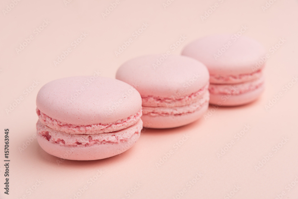 Pink Macaron Pink Macaron