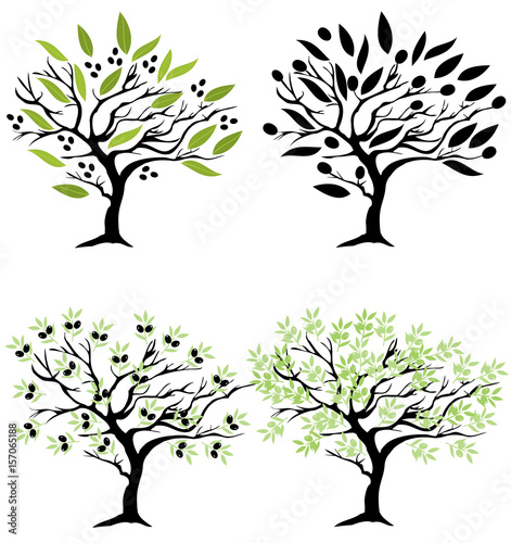 Vector Olive Trees