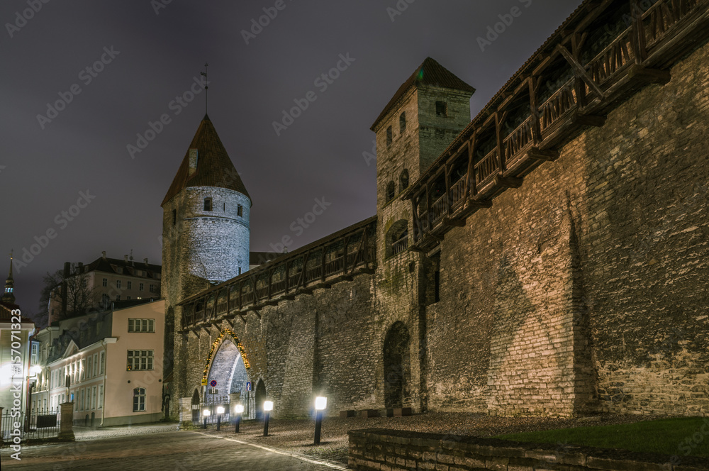 Medieval fortress tower. 
