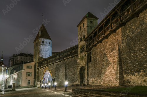 Medieval fortress tower. 