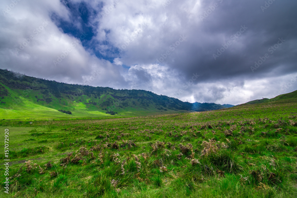 Savana landscape view of Bromo mount