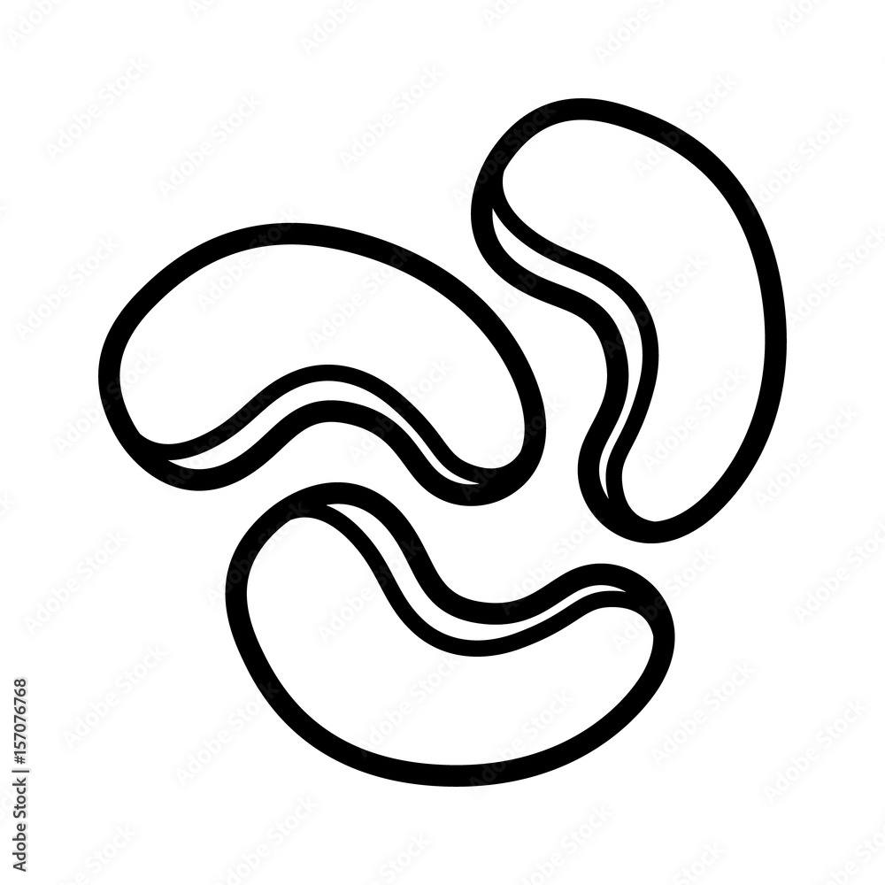 Cashew nuts or seeds line art vector icon for food apps and packaging