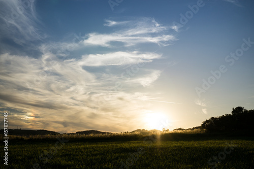 Sunset on meadow with hills and tree. Slovakia