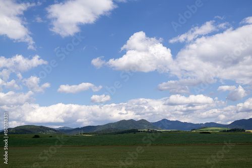 The view on the meadow. Martin, Slovakia