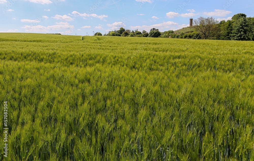 Rheinhessen