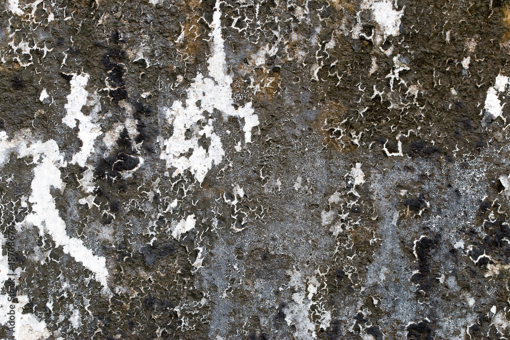 white concrete wall texture white concrete wall texture