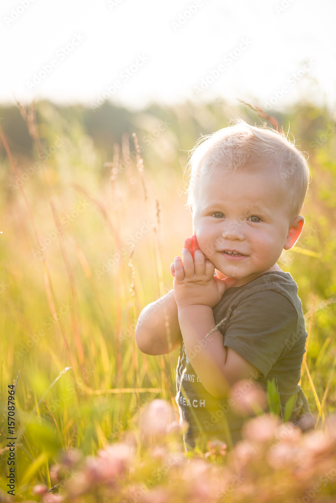 Portrait of cute toddler boy sitting on the grass on a summer meadow at sunset. Child having fun outdoors. Baby, childhood and lifestyle concept