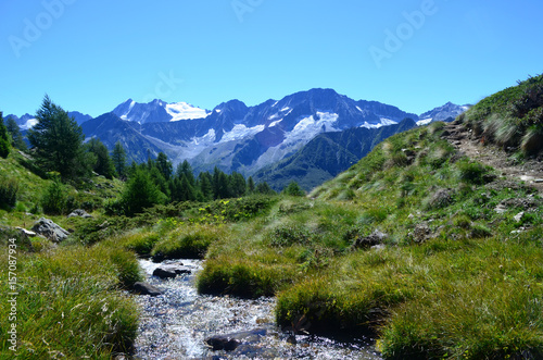 A quiet afternoon in the mountains. Malga Valbiolo  Passo del Tonale  Trentino - Italy