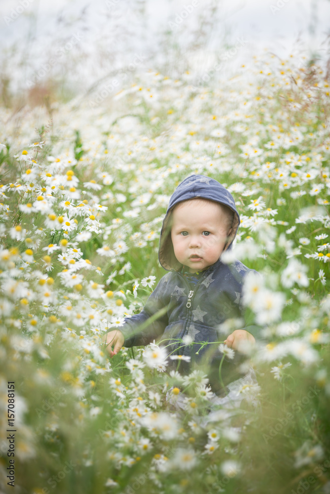 Portrait of cute toddler boy sitting on summer chamomile meadow. Child picking flowers outdoors. Baby, childhood and lifestyle concept Portrait of cute toddler boy sitting on summer chamomile meadow. Child picking flowers outdoors. Baby, childhood and lifestyle concept