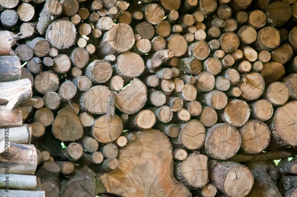 Pile of wood logs ready for winter, dry chopped firewood . Pile of wood logs ready for winter, dry chopped firewood .