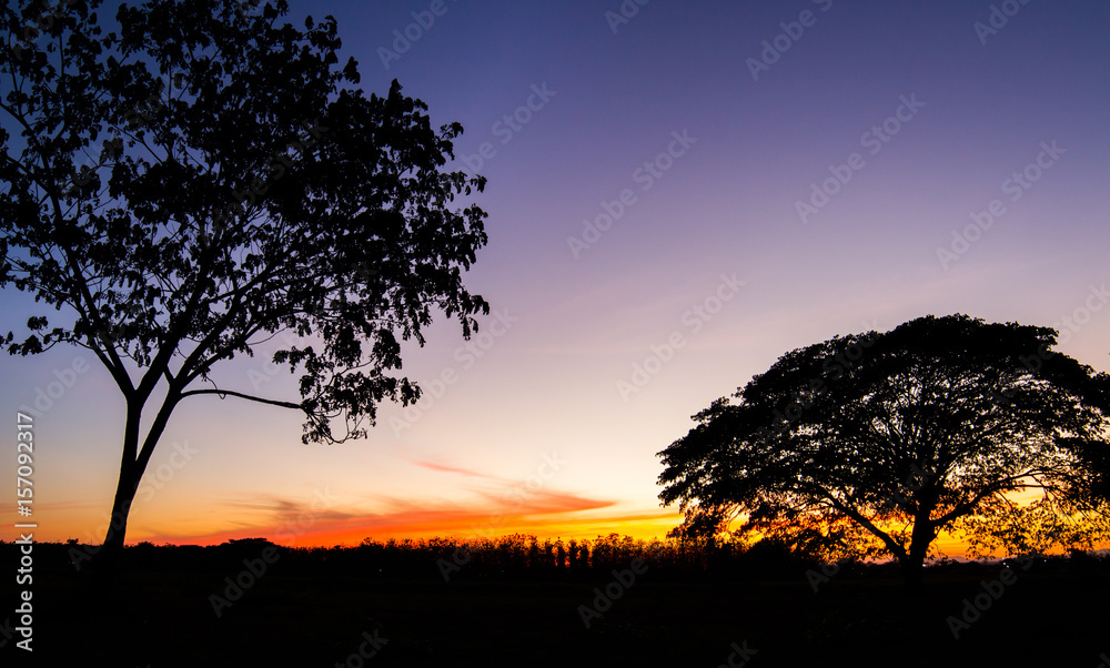 colorful dramatic sky with cloud at sunset