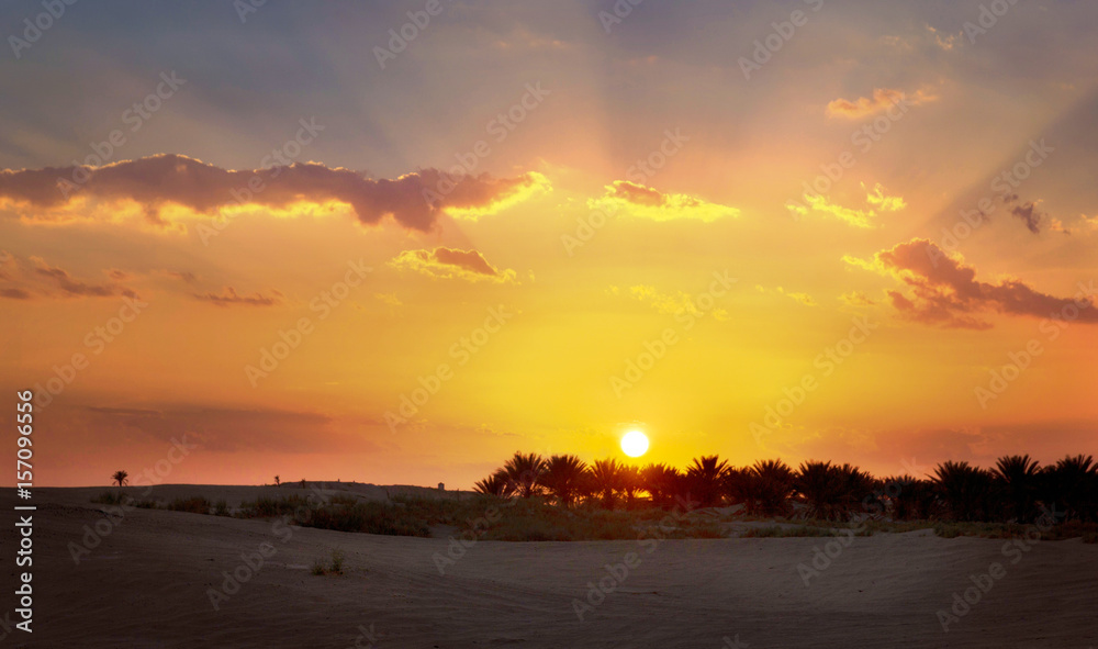 Sunset in the Sahara Desert.
