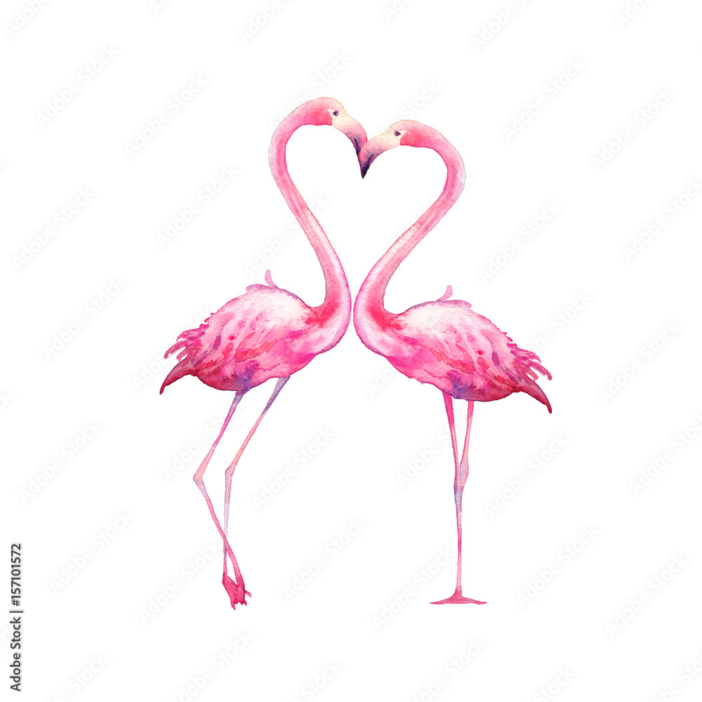 Watercolor Flamingo In Love Hand Painted Bright Exotic Birds Kissing Isolated On White Background Animal Illustration Stock イラスト Adobe Stock