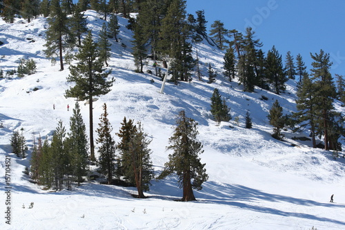 Winter in California Mountains