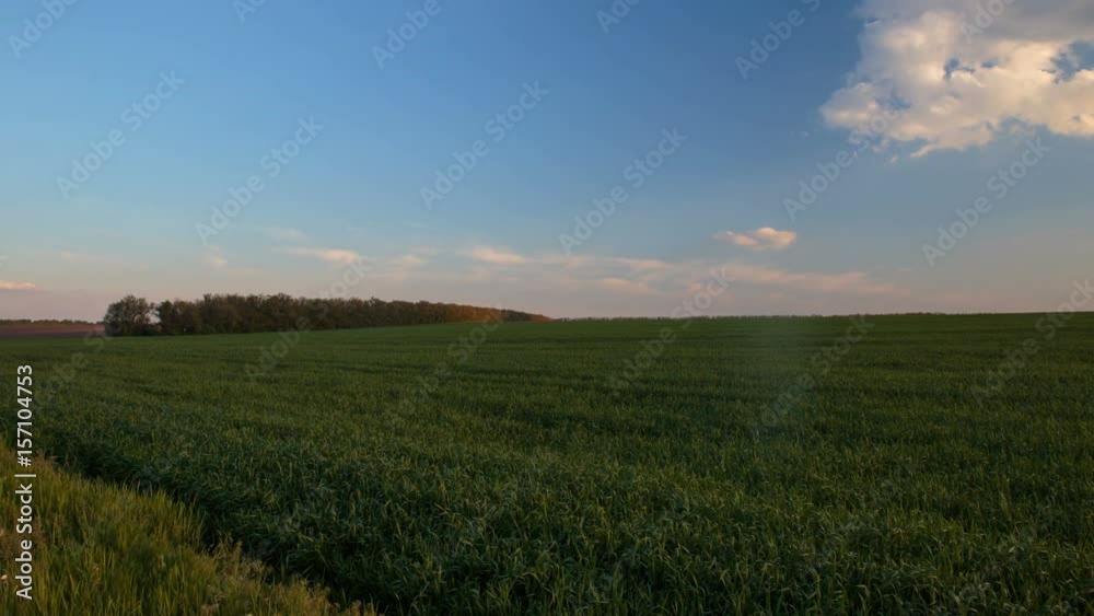 Russia, time lapse. Rapid movement of clouds in the spring over wheat fields in the endless steppes of the Don. Russia, time lapse. Rapid movement of clouds in the spring over wheat fields in the endless steppes of the Don.