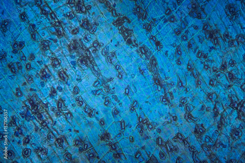 Colorful salt grains under microscope. Extreme salt closeup. Microscopic mineral detail.