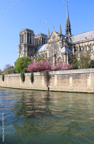 Notre Dame de Paris in blossom trees, France