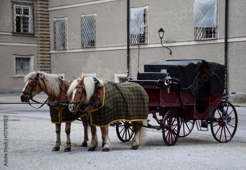 Two horses pulling an antique carriage