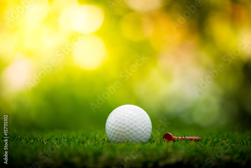 golf ball with tee on fairway