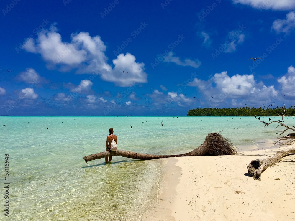 Obraz premium Beautiful young lady sitting on a palm tree in the turquoise lagoon of Marlon Brando's atoll Tetiaroa, Tahiti, French Polynesia