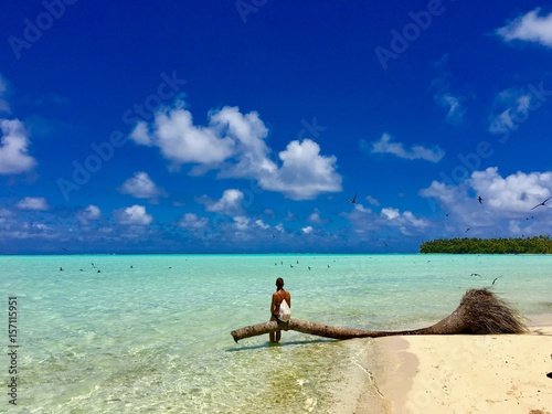 Beautiful young lady sitting on a palm tree in the turquoise lagoon of Marlon Brando s atoll Tetiaroa  Tahiti  French Polynesia