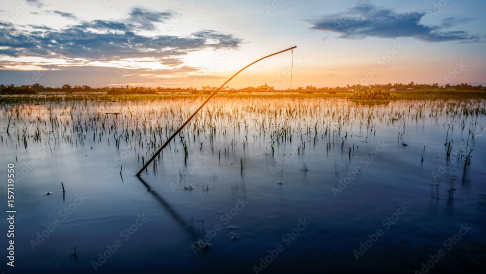 Small Bamboo fishing rod in Thailand,s countryside. Small Bamboo fishing rod in Thailand,s countryside.