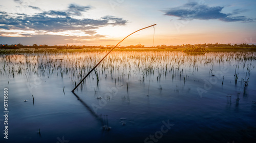 Small Bamboo fishing rod in Thailand,s countryside.