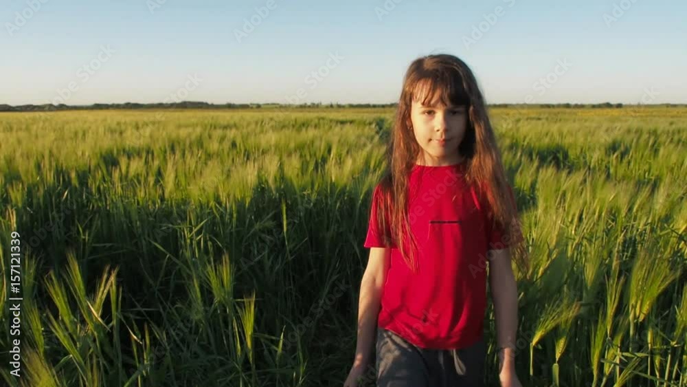 Girl in a field of wheat. Wheat field at sunset. Girl in a field of wheat. Wheat field at sunset.