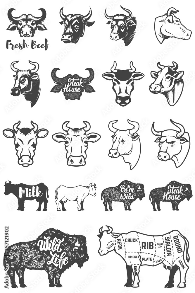 Big set of cow heads and silhouettes. Design elements for logo, label, emblem, sign. Vector illustration