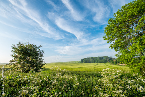 Photography English Countryside in Summer