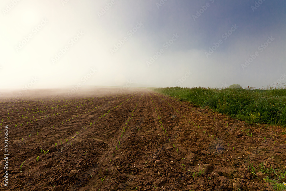 Früh morgens Nebel über Acker Früh morgens Nebel über Acker