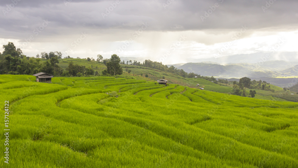 Raining on green rice terrace field and cloudy sky. at Baan Pa Bong Pieng mountain valley, northern of Chiang Mai, Thailand.