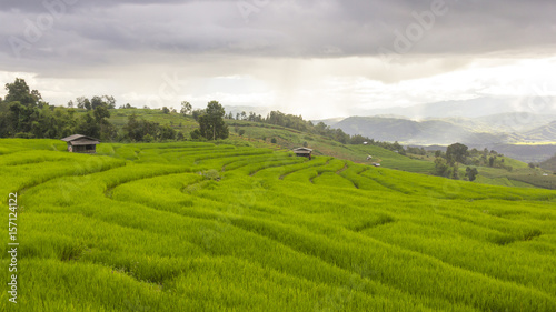 Raining on green rice terrace field and cloudy sky. at Baan Pa Bong Pieng mountain valley, northern of Chiang Mai, Thailand.
