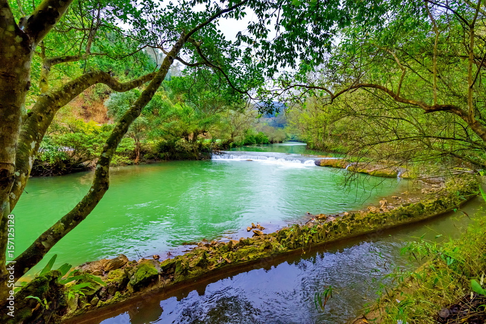 Obraz premium tree on the bank of the great river