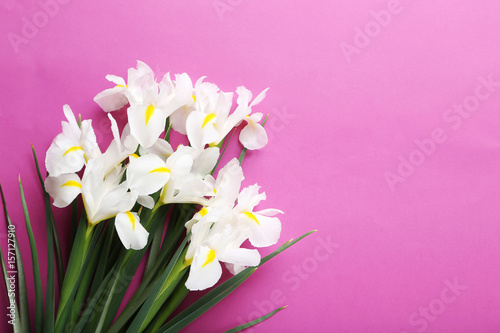 Fototapeta Naklejka Na Ścianę i Meble -  White iris flowers on pink background