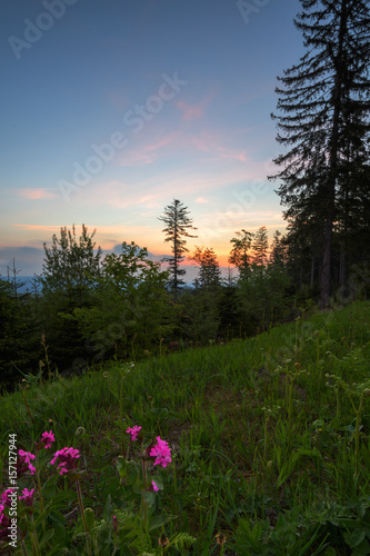 Schwarzwald bei Sonnenaufgang © mp1982_06
