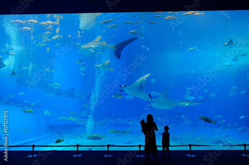 水族館とシルエット