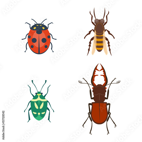 Colorful insects icons isolated wildlife wing detail summer bugs wild vector illustration © Vectorwonderland