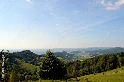 Blick vom Rosskopf auf den Schwarzwald