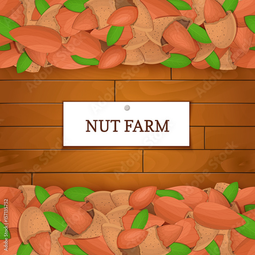 Wooden box with almond nuts. Vector illustration. Boards wood background, border with walnut fruit and label. For the design of packaging, food breakfast.