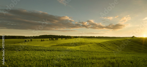 Panoramic view of empty grass field at the sunset with copy space © rangizzz