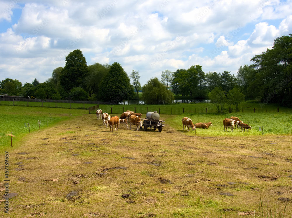 Obraz premium Geroda Thüringen